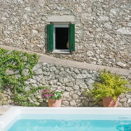 Tatil Evi The Old House - Collection