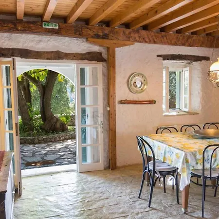 The Old House - Collection